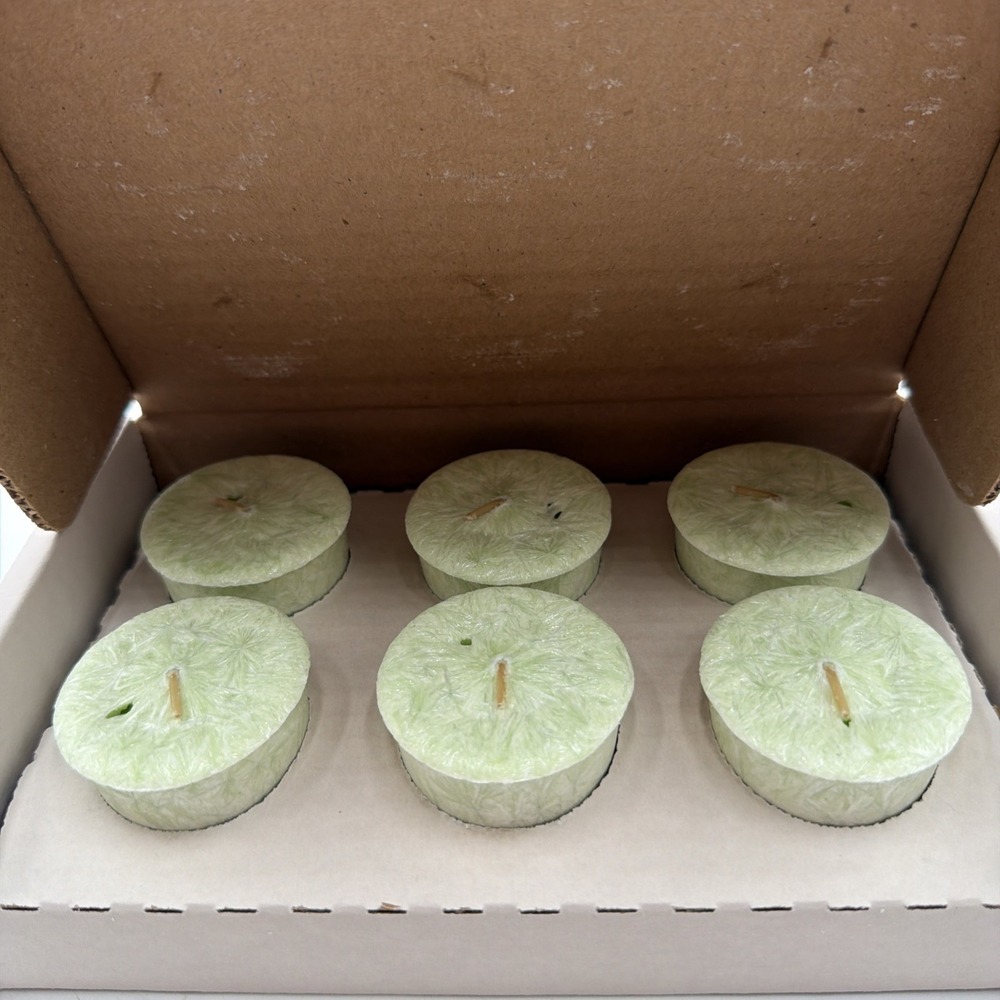 Mia Bella Gourmet Votive Candles Box of 6 Coconuts & Lime - New Old Stock